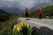 Monte Valgussera, Pizzo Vescovo, Monte Brate, tre cime ad anello da Foppolo il 28 maggio 2016 - FOTOGALLERY